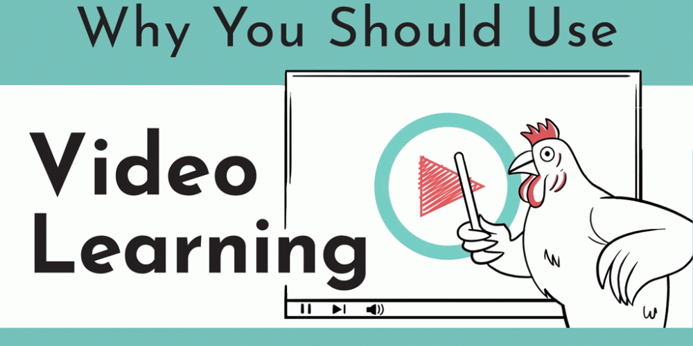 An animated chicken, one of the NDA mascots, stands in front of a large video screen, flicking the board like a professor. The title is seen, "Why You Should Use Video Learning'