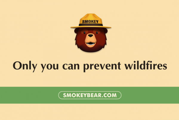 Smokey Bear animated in simple 2D: beneath him reads 'only you can prevent wildfires'