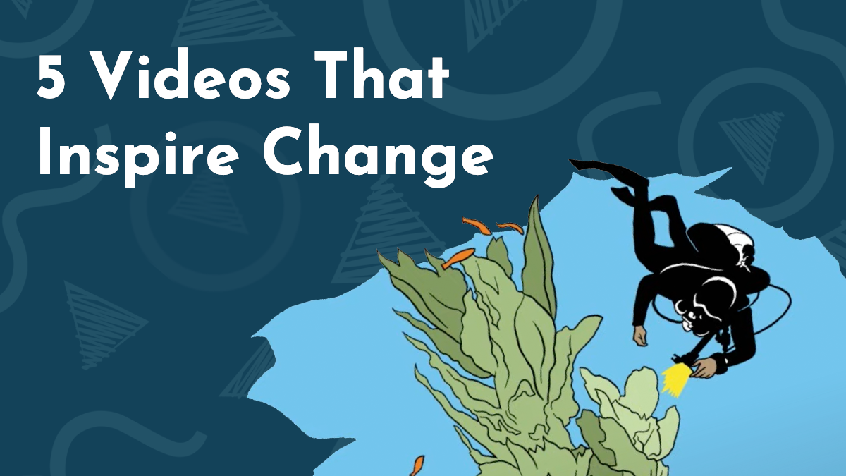 Title Graphic; a still from an animated whiteboard video shows a scuba diver investigating the coral reef. A blue background features NDA logos and a white text title reads '5 Videos that Inspire Change.'