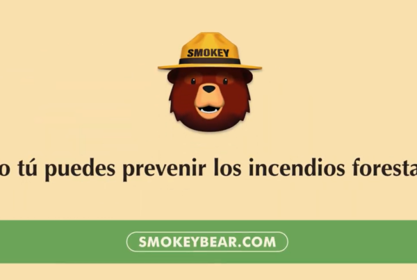 A still from the Ad Council's 2D Animated Explainer Video for Smokey Bear