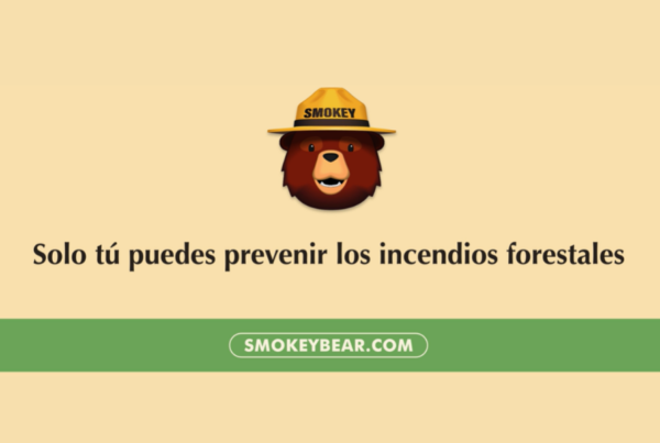 A still from the 2D animated video created by next Day Animations for the Ad Council and Smokey Bear
