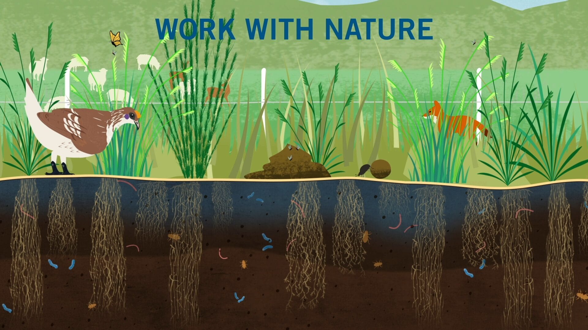 Western Sustainability Exchange social media graphic number 1: shows how nature and regenerative farming work together to create a healthy ecosystem by showing the healthy dirt biome.