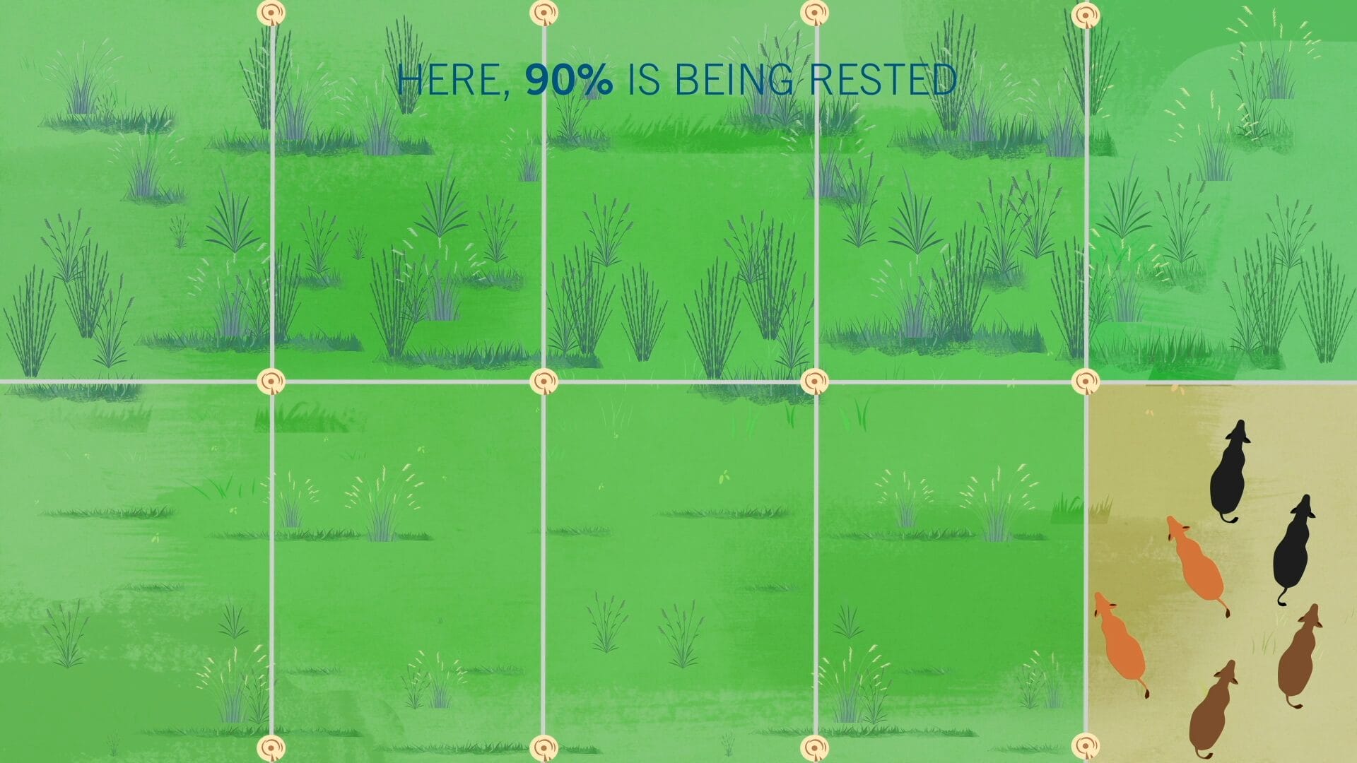 Western Sustainability Exchange Graphic 5: Shows an example of a generative farm practice for cow grazing