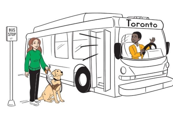 Featured image from the whiteboard explainer animation created with Guide Dogs for the Blind. Features a whiteboard image of a waving bus driver greeting an incoming passenger, standing smiling at the bus stop with her guide dog.