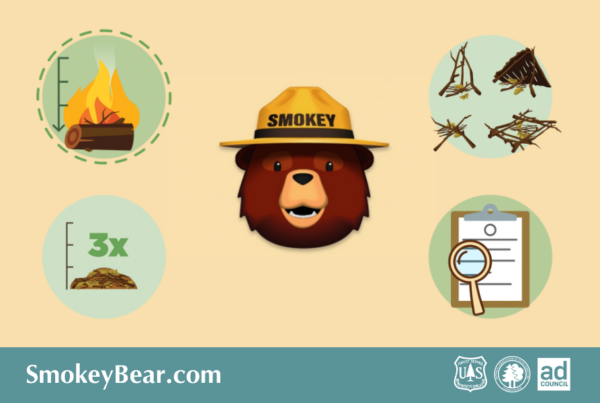 Screenshot for the custom 2D animation created for Smokey Bear